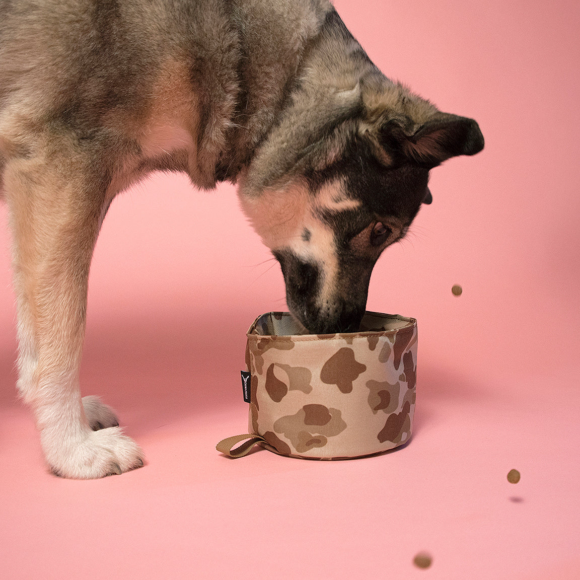 Collapsible K9 Bowl