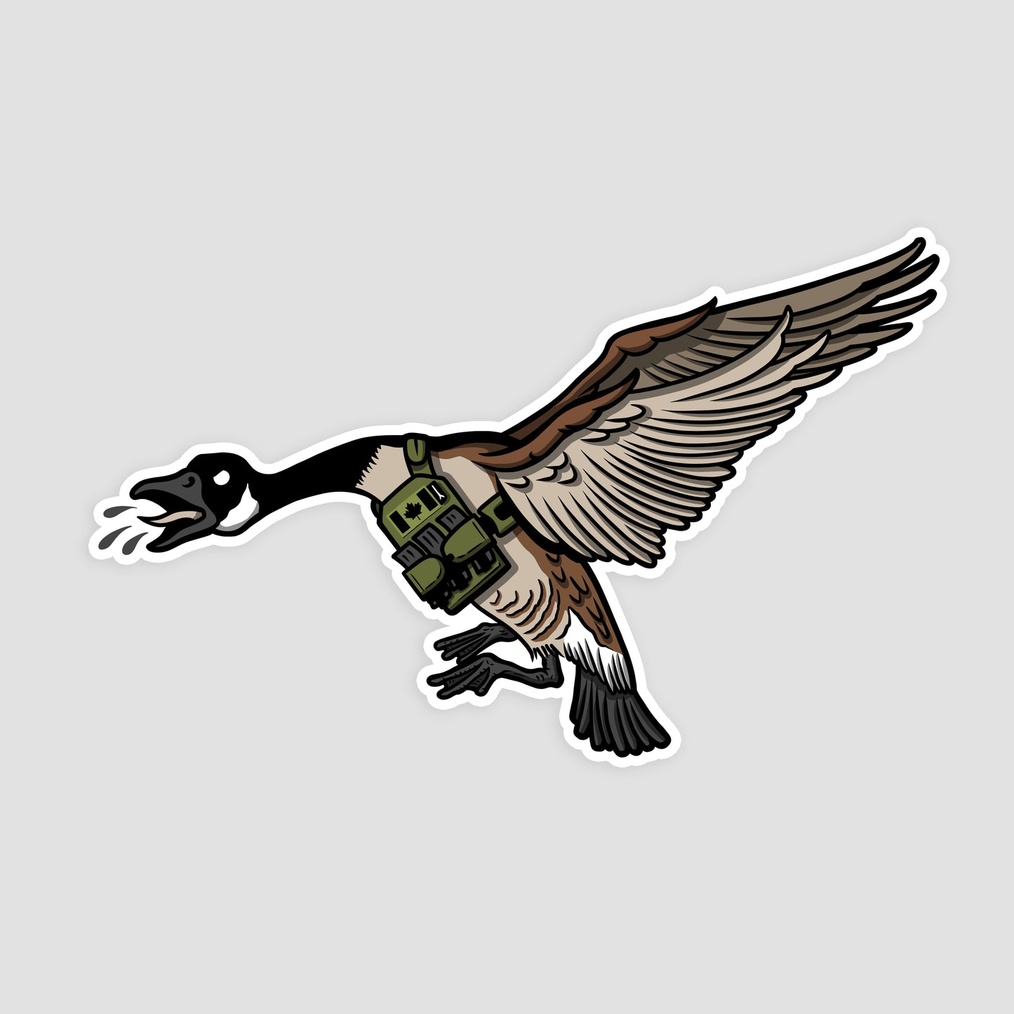 Geese Goose