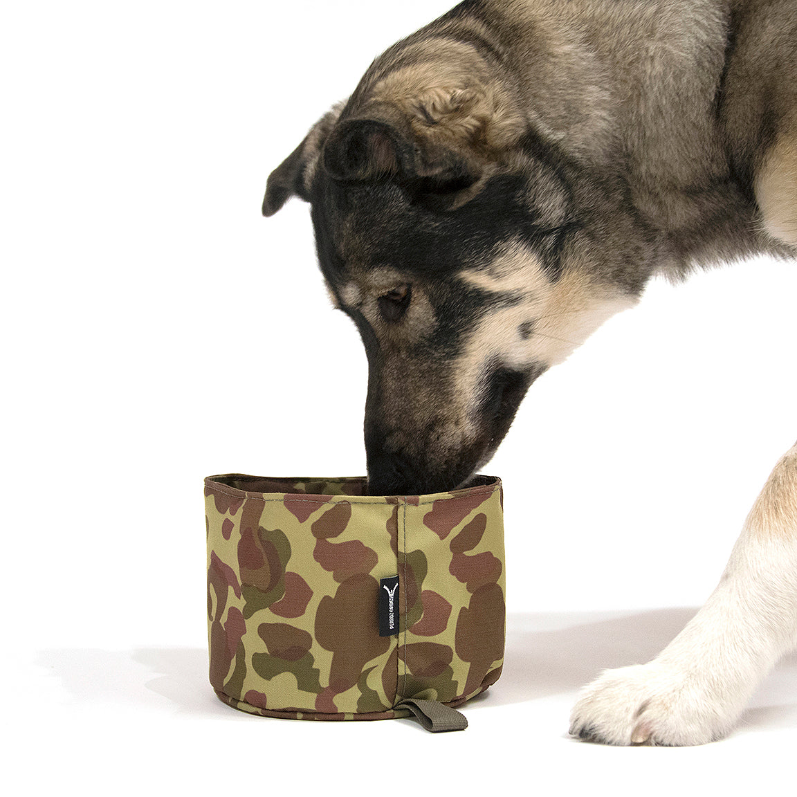 Collapsible K9 Bowl