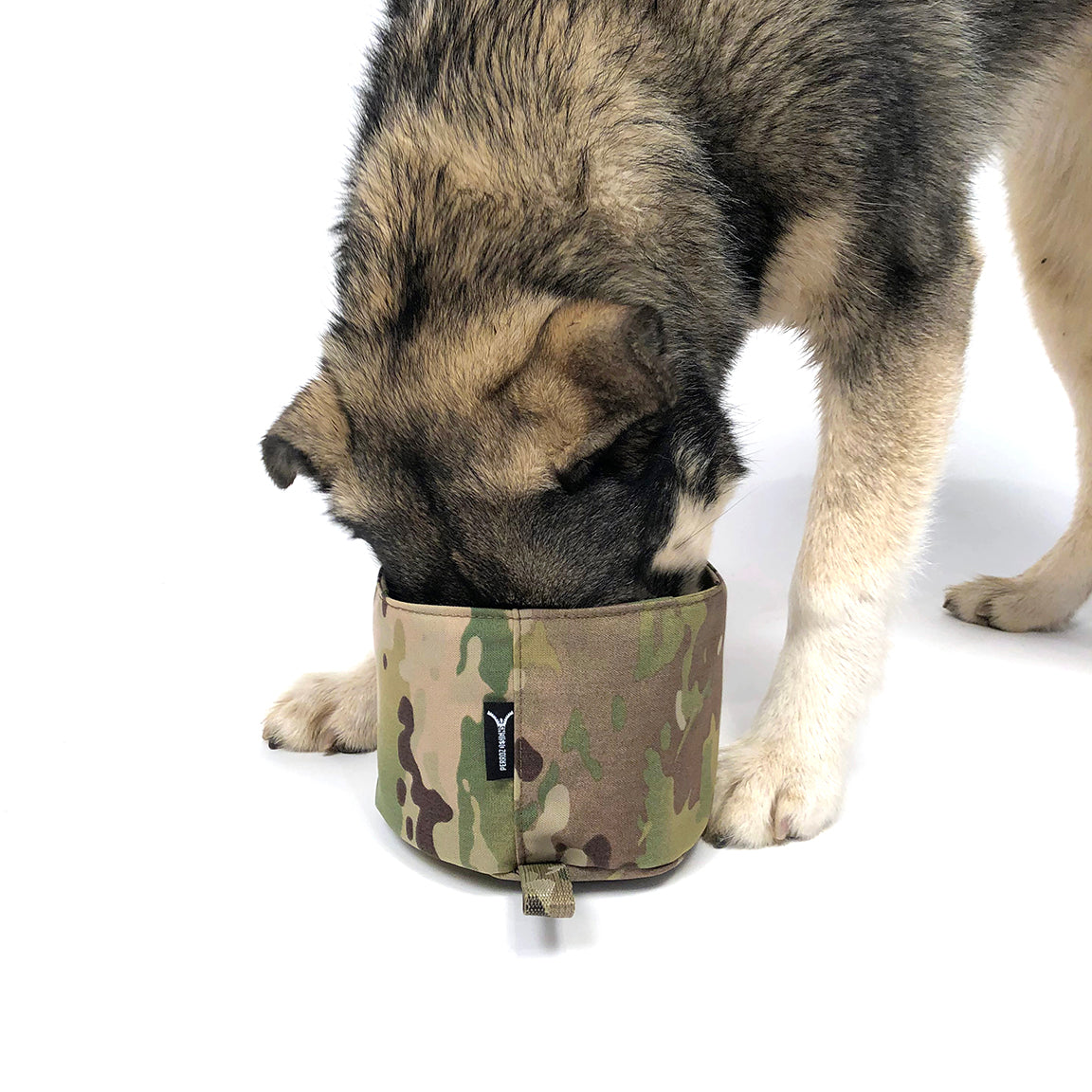 Collapsible K9 Bowl
